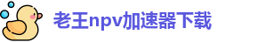 老王npv加速器下载